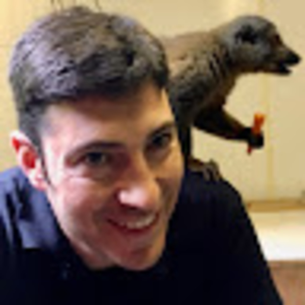 Meet your Posher, David